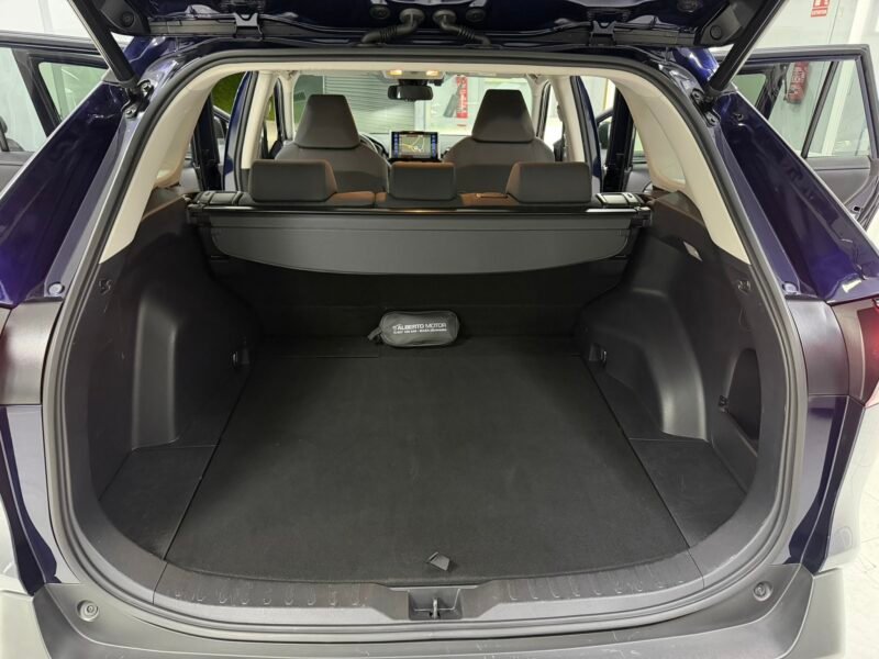 TOYOTA RAV4 2.0VVT-I 175CV ADVANCE PLUS